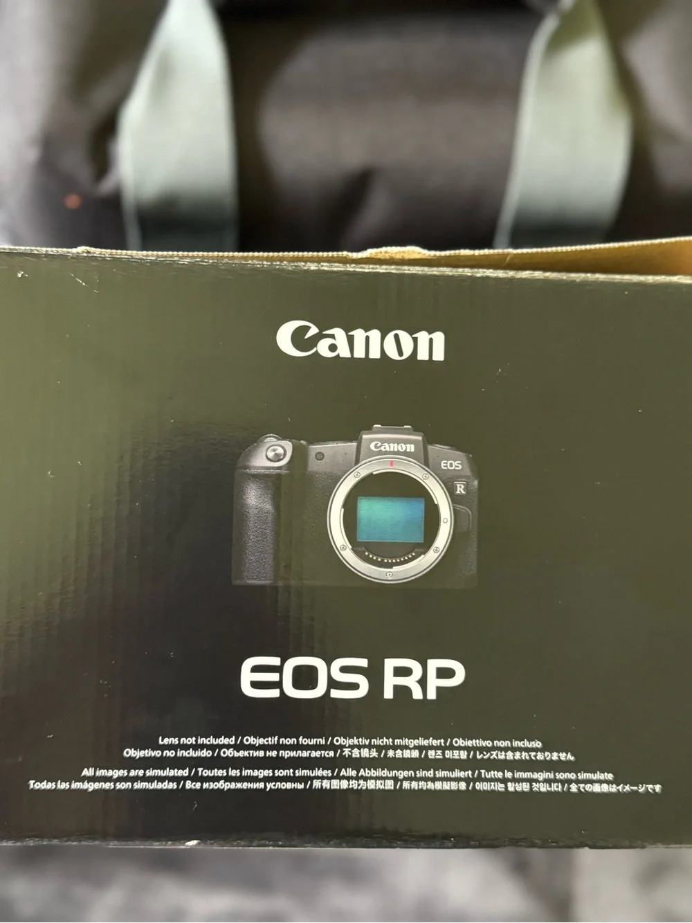 Canon EOS R Mirrorless Camera Body in Black with Red-Trim Strap